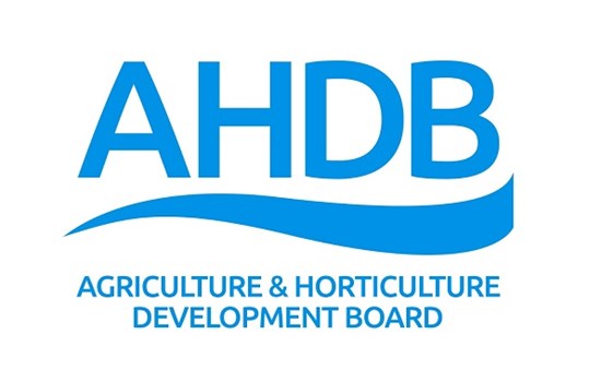 AHDB: 1ο τρίμηνο 2024 Κόστος παραγωγής χοιρινού κρέατος