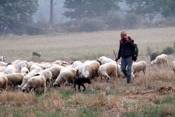 Διαμαρτύρονται οι κτηνοτρόφοι της Ανατολικής Μακεδονίας