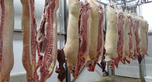 Χαμηλά οι τιμές στο ευρωπαϊκό χοιρινό, μετρούν πληγές οι Πολωνοί χοιροτρόφοι