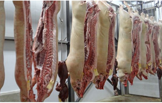 Χαμηλά οι τιμές στο ευρωπαϊκό χοιρινό, μετρούν πληγές οι Πολωνοί χοιροτρόφοι