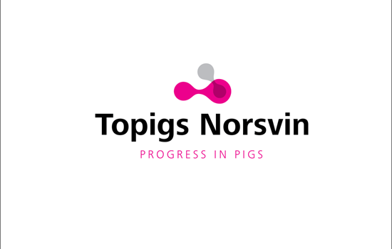 Διευθυντής της Topigs Norsvin Hellas: Η Ελλάδα πλέον συμβαδίζει στο τομέα της γενετικής στη χοιροτροφία με κάθε άλλη ευρωπαϊκή χώρα