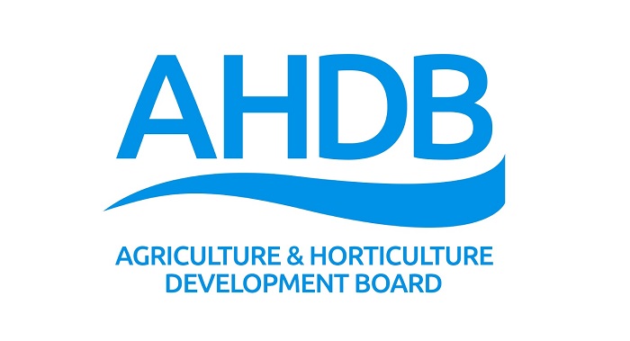 AHDB: Η καθοδική τάση συνεχίζεται για τις τιμές χοιρινού κρέατος στη Βρετανία, ενώ η ΕΕ ανεβαίνει