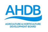 AHDB: Η καθοδική τάση συνεχίζεται για τις τιμές χοιρινού κρέατος στη Βρετανία, ενώ η ΕΕ ανεβαίνει