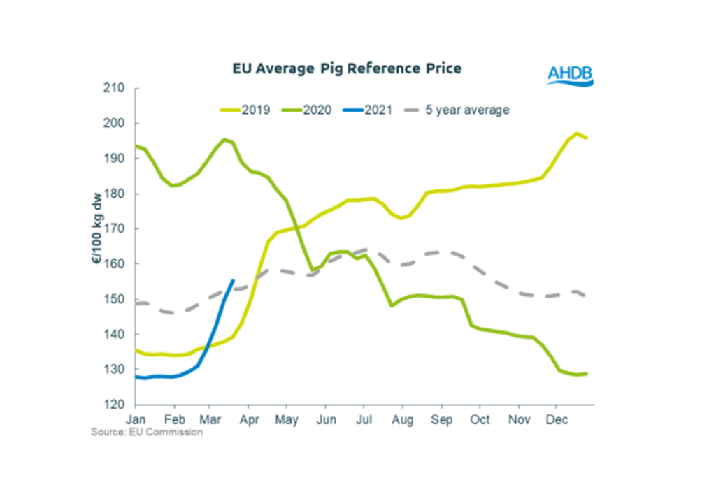 Οι τιμές χοιρινού στην ΕΕ επανέρχονται στα επίπεδα του περασμένου Ιουλίου 